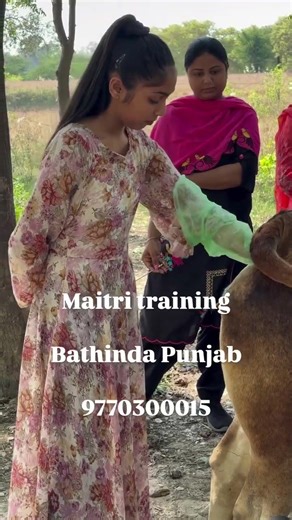 Bathinda Maitri Training Full Video 💯 100% Practical AI Course | Must Watch