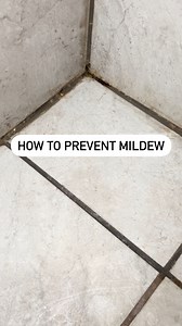 27K views · 229 reactions | Mildew thrives in damp, humid spaces and...