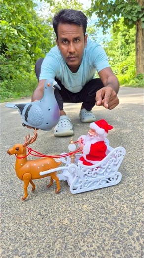 Egg Wla Pigeon Birds And Santa Claus sleigh Reindeer Gift 🎁