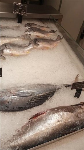 Variety of Fish | Different Types of Fish | Amazing Fish Collection 🐟