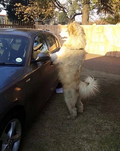 Ready to go for an ice-cream | Trez and Tydus