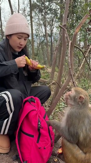 Monkey's wasted day in life 😂 #shorts