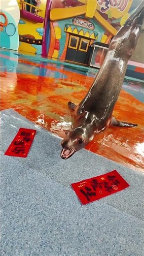 Cute Sea Lion Wishes You a Happy New Year Early