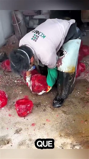 El Secreto de la Piedra de Cristal Rojo que Puede Hacerte Millonario #shorts #shortvideo #viralshort