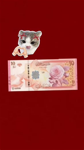 noora-🐇 on Instagram