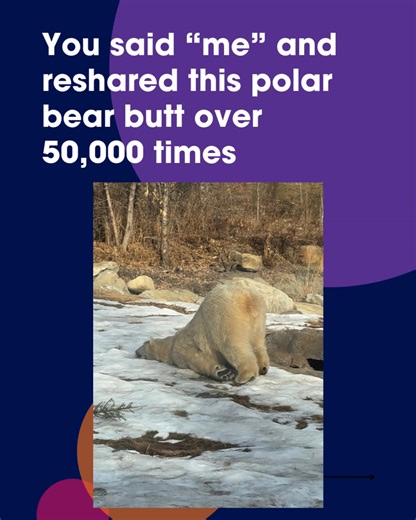 The Calgary Zoo on Reels