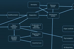 GitMaps - Source Control for Mind Maps
