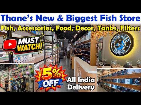 India's Biggest Aquarium Fish Shop🔥|Complete Store Tour😍|Huge Variety of Fish, Tanks & Accessories