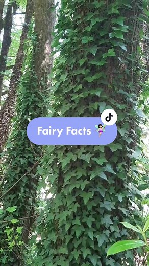 How to Find Fairies: A Comprehensive Guide to Unveiling Magical Creatures