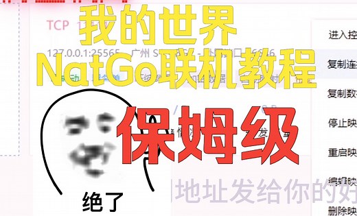 【我的世界】NatGo 端口映射保姆级联机教程
