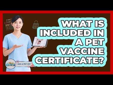 What Is Included In A Pet Vaccine Certificate?