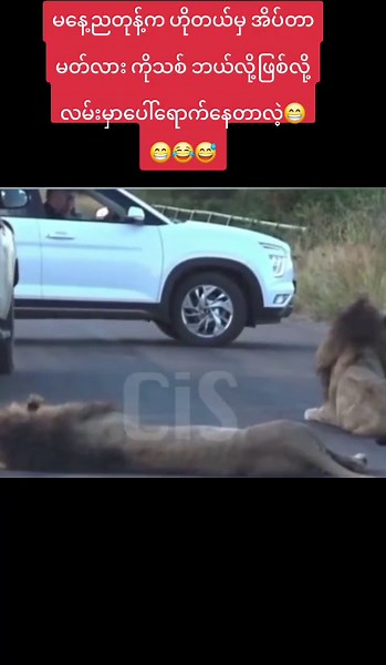 original sound - charm in studio cis fan😅😂 ပါဝင်သည့် charm in studio cis fan😅😂 (@charm.in.studio.c) ၏ ဗီဒီယိုများ