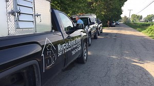 Officials help with the surrender of an estimated 100 farm animals on Daleville property