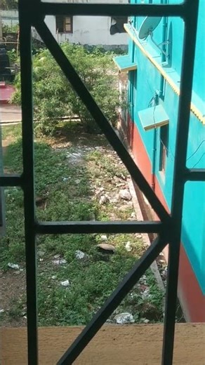 Bol Raja Chai (Original Motion Picture Soundtrack) #(From Bhalobasa Bhalobasa) #Hiraan #Srabanti #Yt