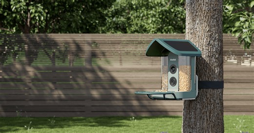 Smart Bird Feeder Needs No Recharging