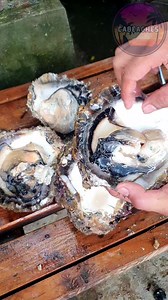 Giant Oyster is reel! #reels #reelsviral #seafood | CAbeaches