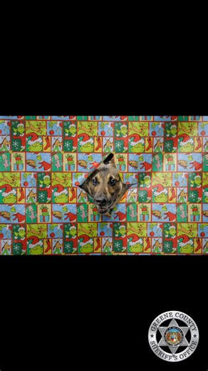 #GCSO #k9 #k9unit #merrychristmas | Greene County Sheriff's Office