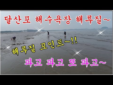 안면도 달산포 해수욕장 해루질 + 해루질 포인트 + 달산포 비치~^^(shell digging)