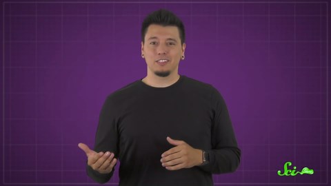 The rainbow gem made from ancient sea creatures