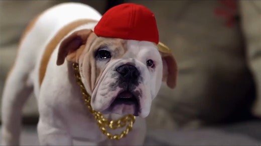 🎅✨ SANTA PAWS: EN BUSCA DE SANTA CLAUS – PELÍCULA COMPLETA EN ESPAÑOL LATINO Cuando Santa y su nuevo mejor amigo, Paws, descubren que los niños del mundo han comenzado a perder el espíritu navideño, ambos emprenden un viaje mágico hacia Nueva York para restaurar la ilusión. Pero el plan se complica cuando Santa pierde la memoria. Ahora, Paws deberá unirse a Quinn, una pequeña huérfana con un corazón inmenso, y a Will, su valiente amiga, además de un divertido grupo de perros parlanchines, para 