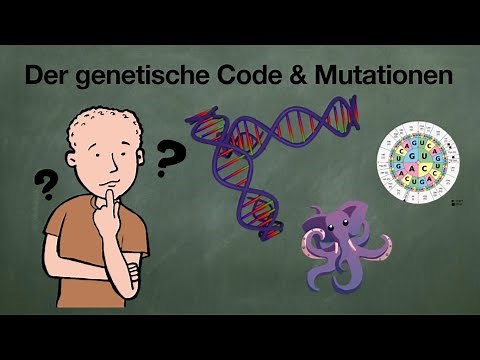 Der genetische Code & Mutationen
