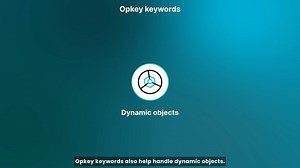 Handling dynamic objects in Opkey