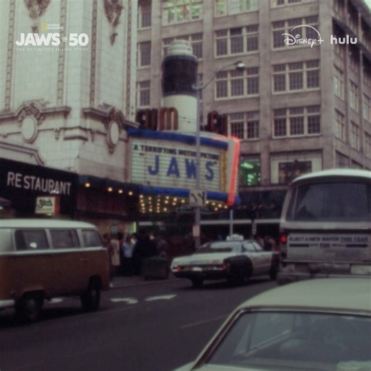 That legendary line? Totally unplanned. Here’s how Jaws gave us a true classic. Jaws @ 50: The Definitive Inside Story is now streaming on Disney and Hulu. | National Geographic TV