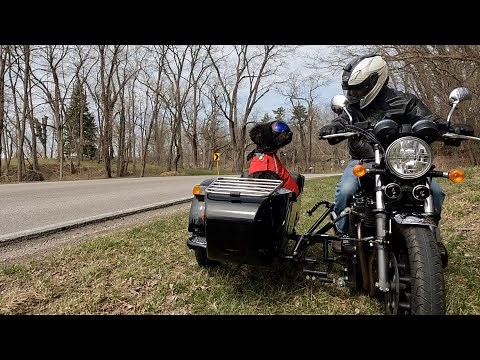 Rudi the Sidecar Dog Rocking It in His First Motorcycle Ride of the Season
