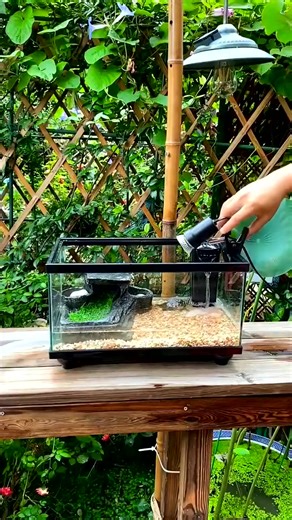 178K views · 1K reactions | Amazing Aquariuscape Setup 﫧#fishaquarium #fish #fishtanksetup #trending #aquariumfishtank #aquarium | Aquatic Wonders Hub | Facebook