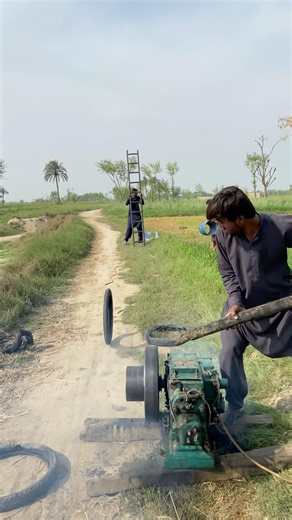 Diasel have start tier test viral short