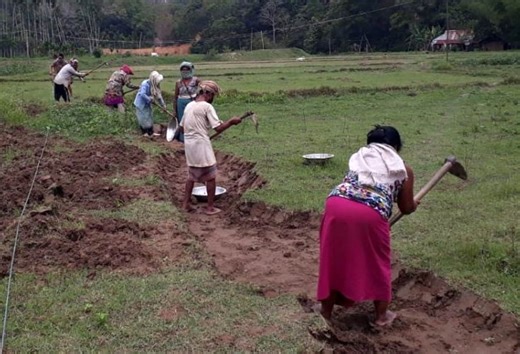 Assam: Female MGNREGA workers avail more person days now