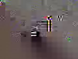 Rex Orange County - Sunflower | Scorpio