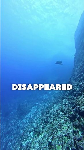 The Sound That Terrified Every Ocean Researcher in 1997 #deepwater #scary #shorts #facts