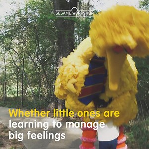 Sesame Workshop on Reels