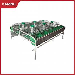 [Hot Item] Famou Automatic Rabbit Farm Equipment H Type Stackable Rabbit Breeding Cages