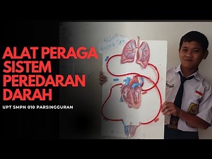 Alat Peraga Sistem Peredaran Darah Manusia| Praktik IPA #ipa | ‪@PestaUliMarbun‬