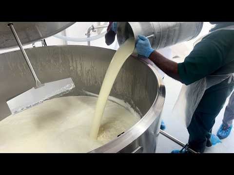 New Dairy Processing Plant Commissioned In Longdenville