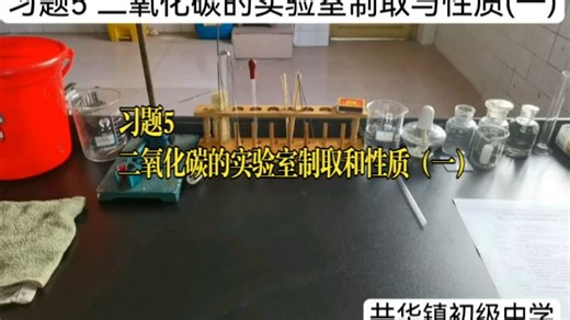 习题5二氧化碳的实验室制取和性质（一）