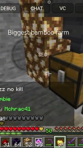 biggest bamboo farm in blockfun #minecraft