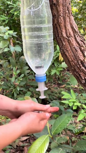 555K views · 5.5K reactions | The guys shows SURVIVAL skills and Useful save Water Soaps camping Outdoors survival skills #survivalskills #SurvivalStory #camping #bushcraft #adventure | Halic Survival | Facebook