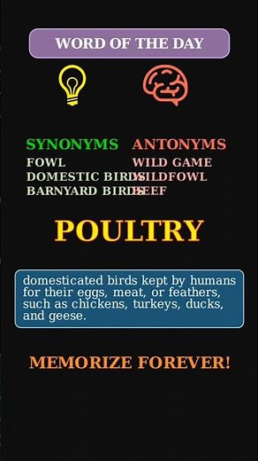 Poultry: The Word for Farm Birds 🐔 A Common Food & Farming Term