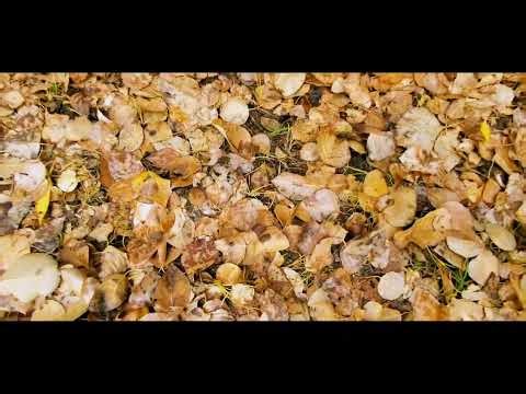Panjsher Province _ پنجشیر ولایت