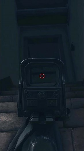 peeked to take a look in #escapefromtarkov