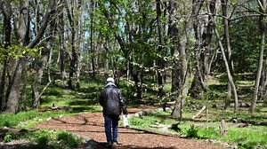 Take a walk in the Delaware Botanic Gardens to discover natural beauties in Sussex County