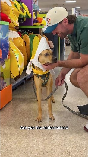 Cactus had a major Halloween costume fail!!