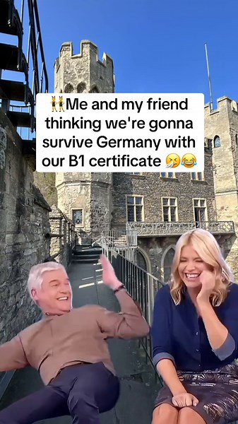 German Language Memes: Translated Funny Content