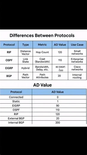 Difference Between RIP, OSPF, EIGRP, and BGP | Routing Protocols Explained | Network Educative