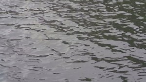 Mermaid Lore Videos: Download 18+ Free 4K & HD Stock Footage Clips - Pixabay