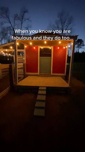 Betty White: The G.O.A.T of Goat Memes on Goat Daddy's Farm