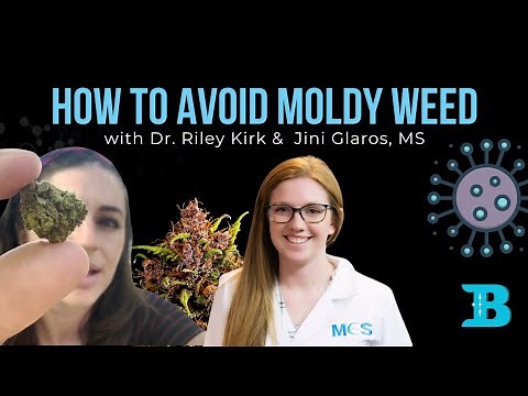 HOW TO AVOID MOLDY WEED: Understanding water activity and moisture content